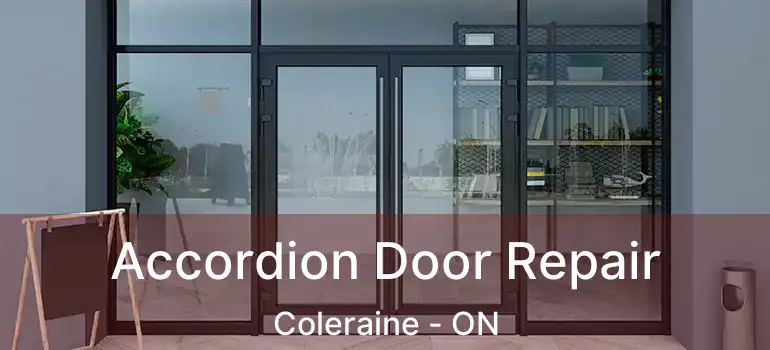  Accordion Door Repair Coleraine - ON