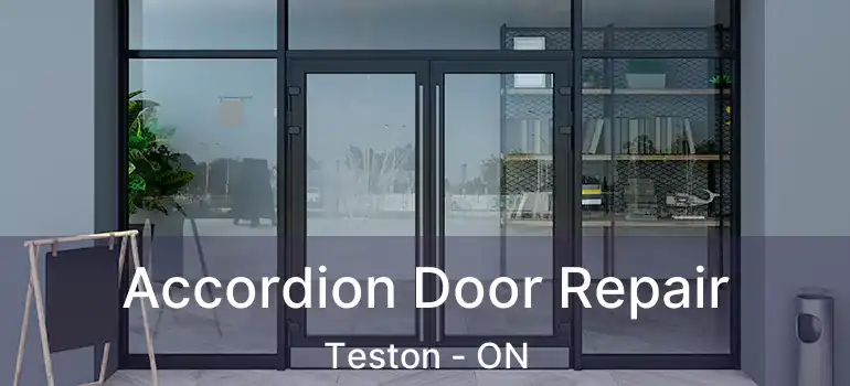  Accordion Door Repair Teston - ON