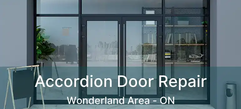  Accordion Door Repair Wonderland Area - ON