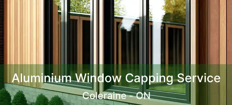  Aluminium Window Capping Service Coleraine - ON
