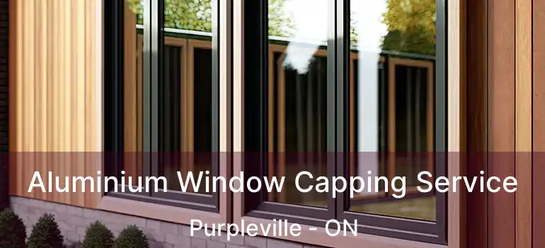  Aluminium Window Capping Service Purpleville - ON