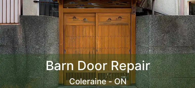  Barn Door Repair Coleraine - ON