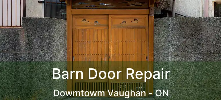  Barn Door Repair Dowmtowm Vaughan - ON