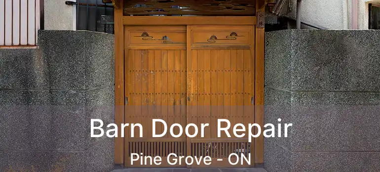  Barn Door Repair Pine Grove - ON