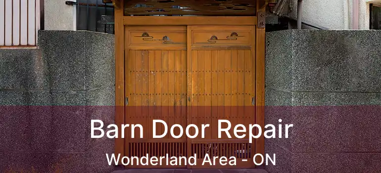  Barn Door Repair Wonderland Area - ON