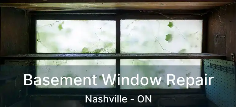  Basement Window Repair Nashville - ON