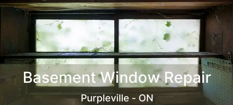  Basement Window Repair Purpleville - ON