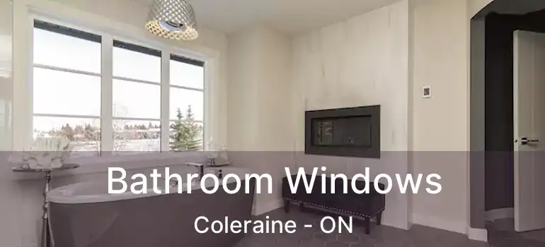  Bathroom Windows Coleraine - ON
