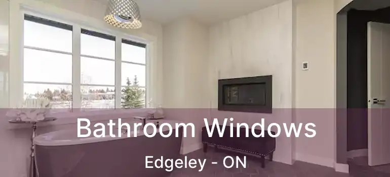  Bathroom Windows Edgeley - ON