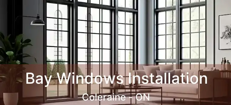  Bay Windows Installation Coleraine - ON
