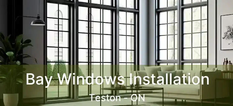  Bay Windows Installation Teston - ON