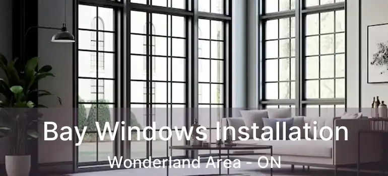  Bay Windows Installation Wonderland Area - ON