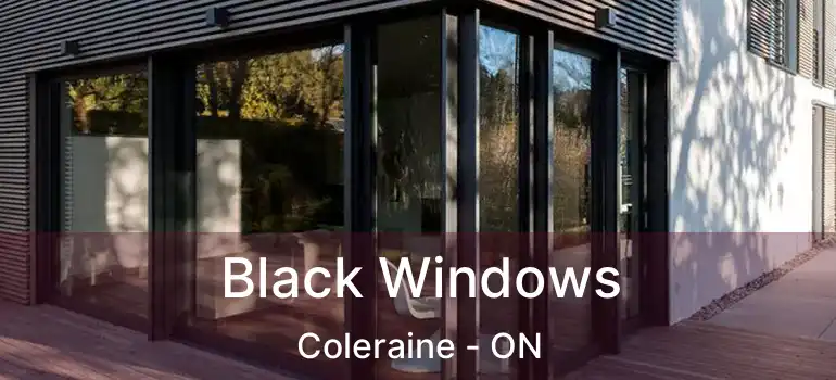  Black Windows Coleraine - ON