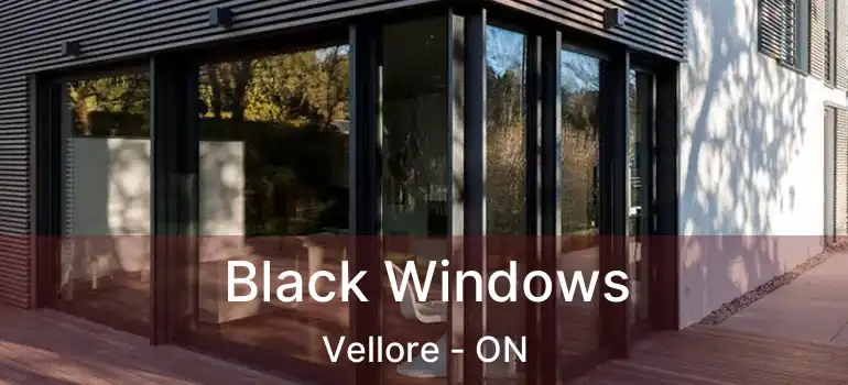 Black Windows Vellore - ON