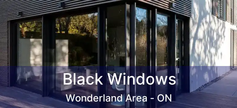  Black Windows Wonderland Area - ON