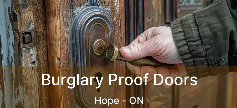  Burglary Proof Doors Hope - ON
