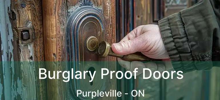  Burglary Proof Doors Purpleville - ON