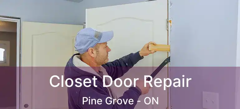  Closet Door Repair Pine Grove - ON