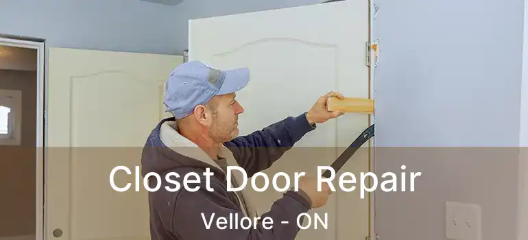  Closet Door Repair Vellore - ON