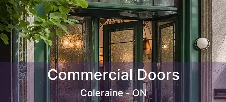  Commercial Doors Coleraine - ON