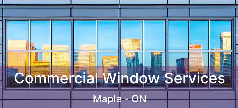  Commercial Window Services Maple - ON
