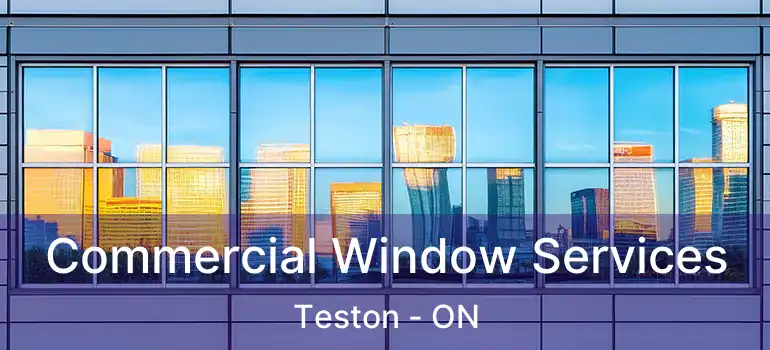  Commercial Window Services Teston - ON