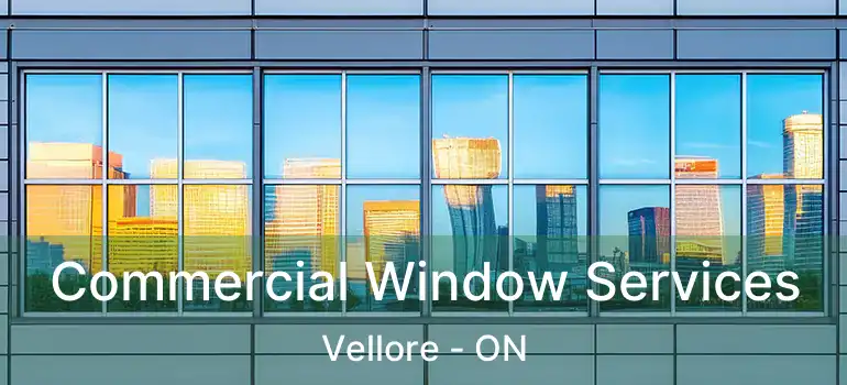  Commercial Window Services Vellore - ON