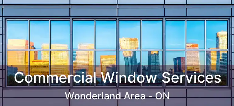  Commercial Window Services Wonderland Area - ON