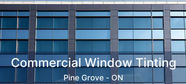  Commercial Window Tinting Pine Grove - ON