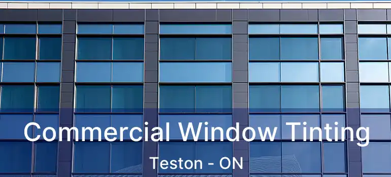  Commercial Window Tinting Teston - ON
