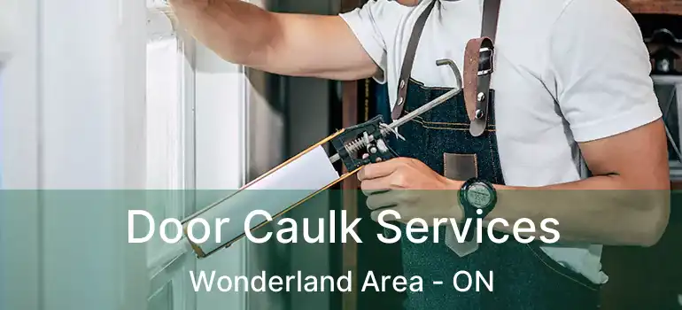  Door Caulk Services Wonderland Area - ON