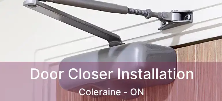  Door Closer Installation Coleraine - ON