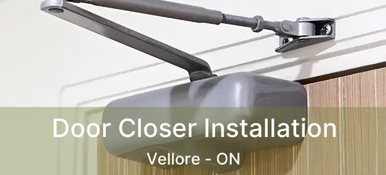  Door Closer Installation Vellore - ON