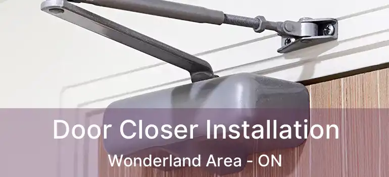 Door Closer Installation Wonderland Area - ON