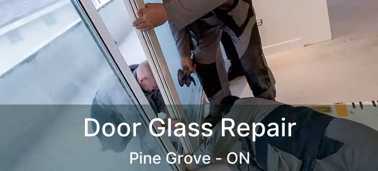  Door Glass Repair Pine Grove - ON