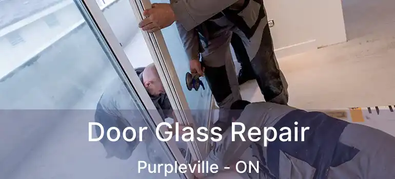  Door Glass Repair Purpleville - ON