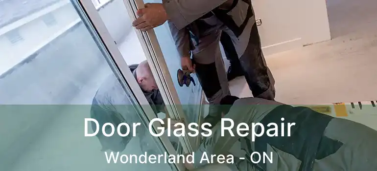  Door Glass Repair Wonderland Area - ON