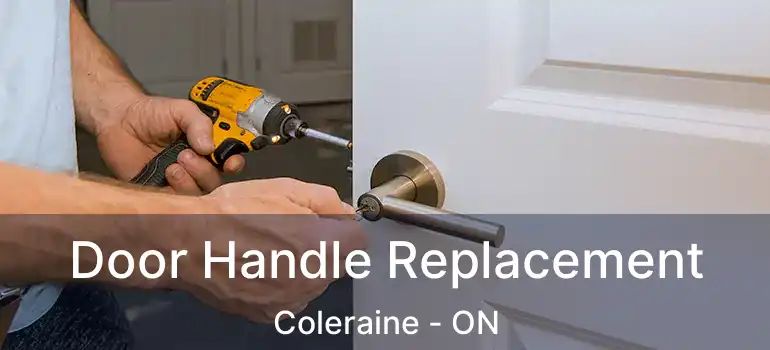  Door Handle Replacement Coleraine - ON