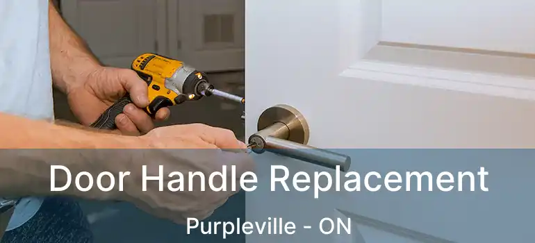  Door Handle Replacement Purpleville - ON