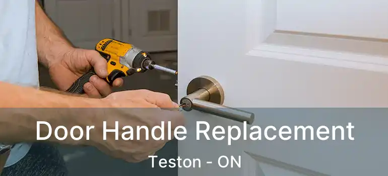  Door Handle Replacement Teston - ON