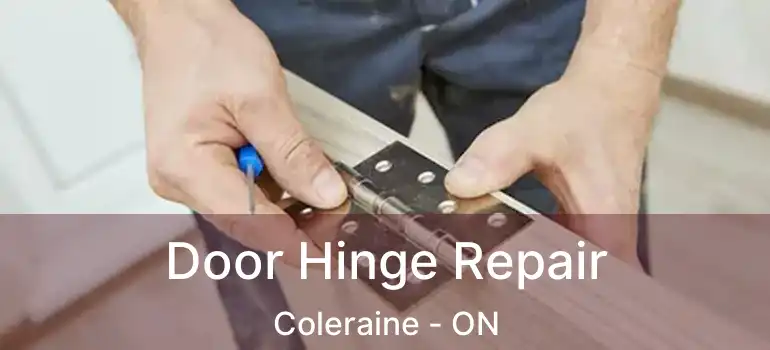  Door Hinge Repair Coleraine - ON