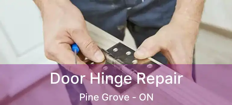 Door Hinge Repair Pine Grove - ON