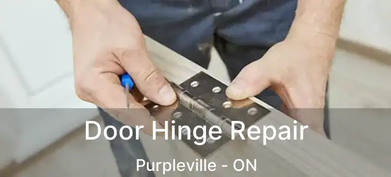  Door Hinge Repair Purpleville - ON