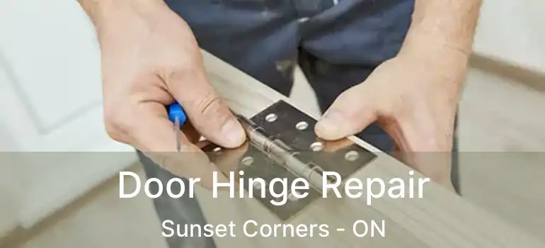  Door Hinge Repair Sunset Corners - ON
