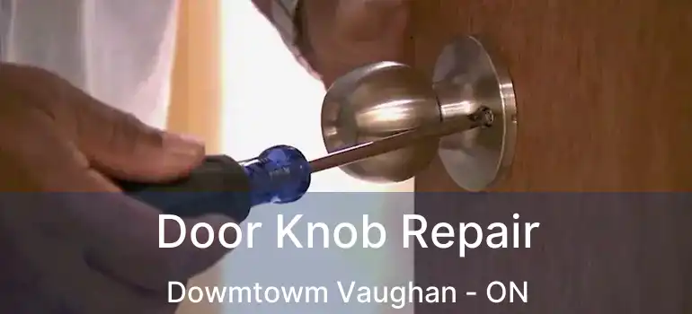  Door Knob Repair Dowmtowm Vaughan - ON