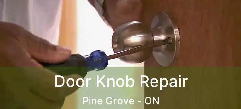  Door Knob Repair Pine Grove - ON