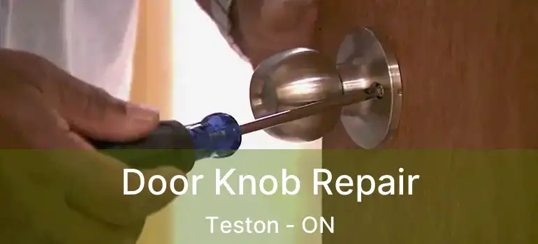  Door Knob Repair Teston - ON