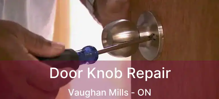  Door Knob Repair Vaughan Mills - ON