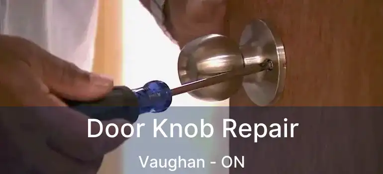 Door Knob Repair Vaughan - ON