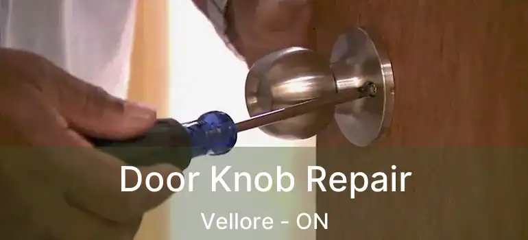  Door Knob Repair Vellore - ON
